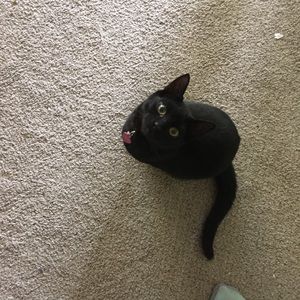 Meet your Posher, Lela